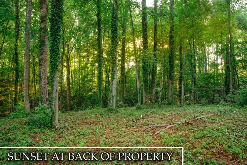Don't miss the opportunity to build your dream home on this last - photo 15