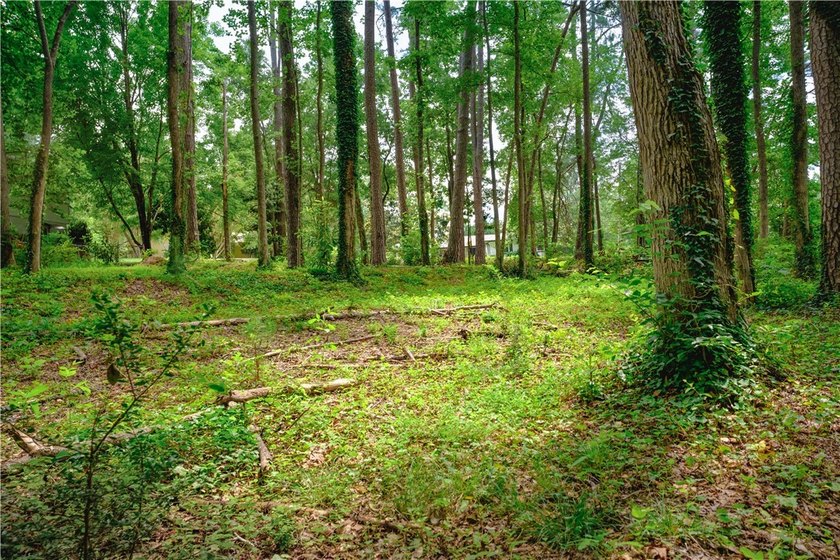 Don't miss the opportunity to build your dream home on this last - photo 17