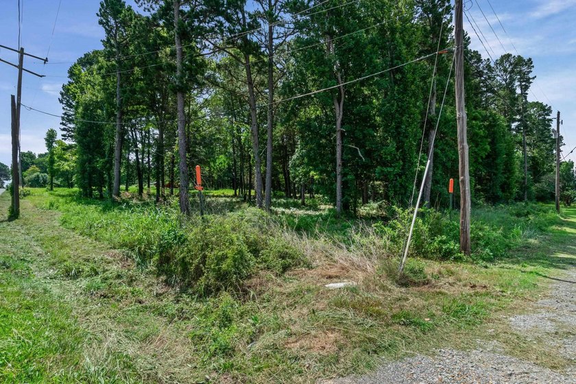 Rare opportunity to own a large collection of city lots tucked - photo 19