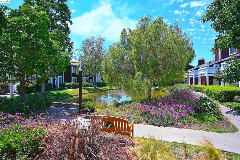Discover the perfect blend of comfort, privacy, and convenience - photo 2