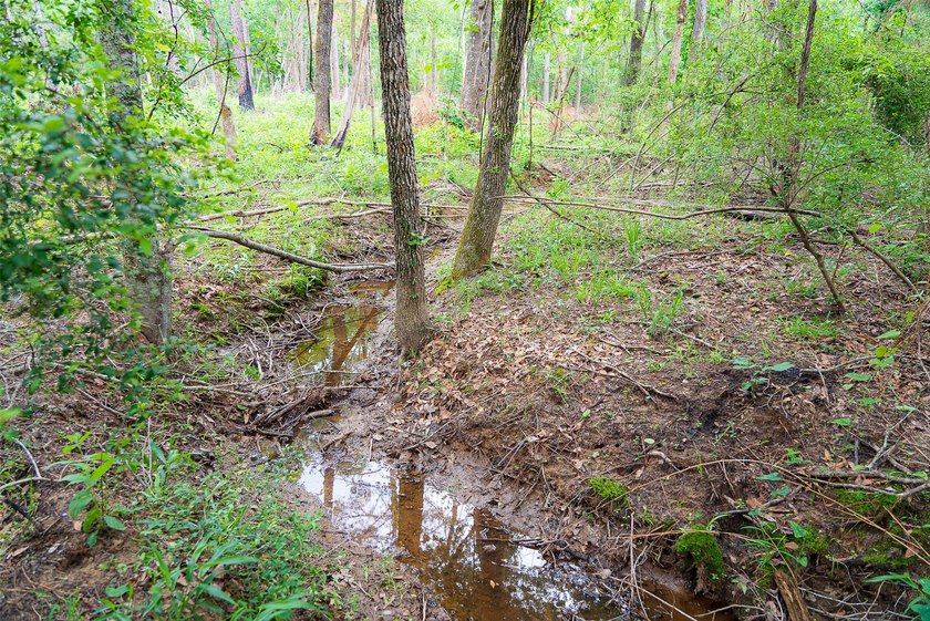 Located in highly desirable Panola County, this 377+/- acre - photo 30