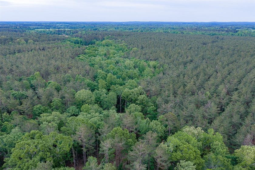 Located in highly desirable Panola County, this 377+/- acre - photo 32