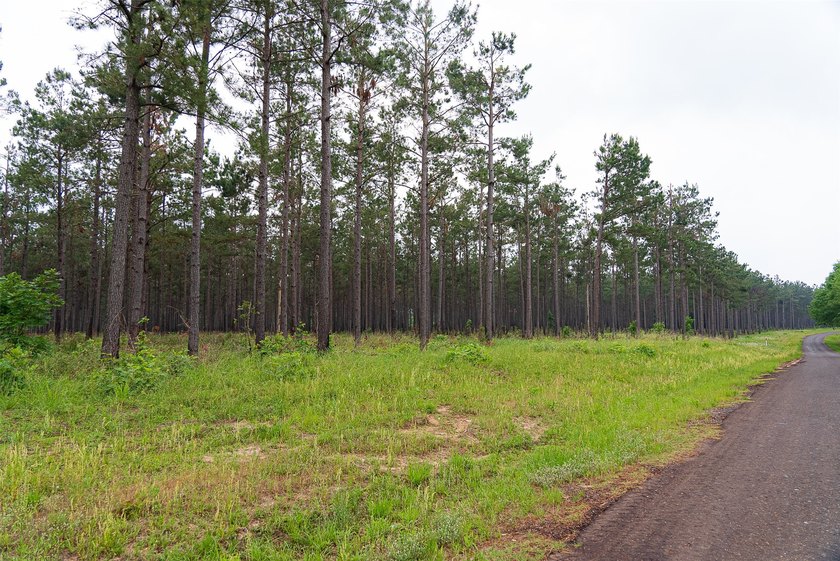 Located in highly desirable Panola County, this 377+/- acre - photo 33