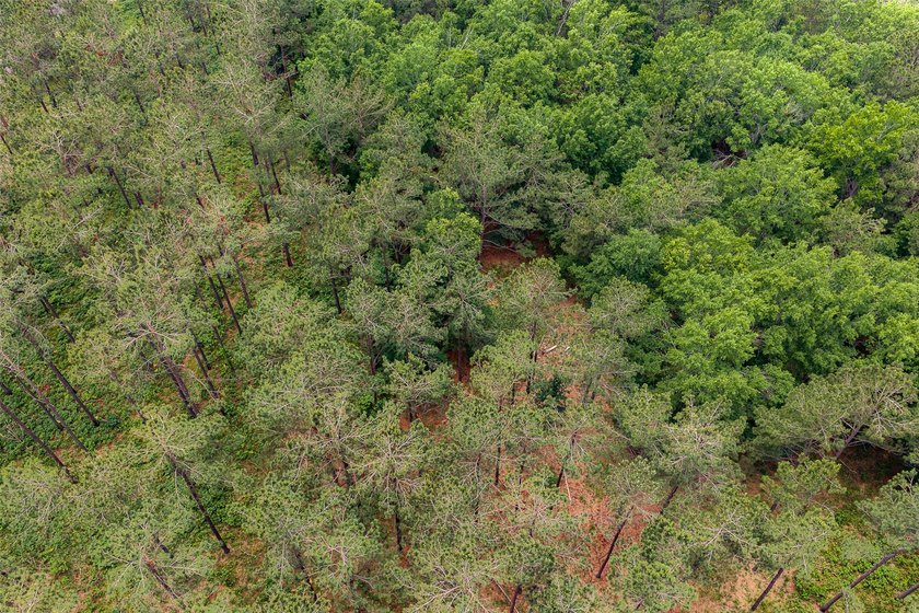 Located in highly desirable Panola County, this 377+/- acre - photo 36