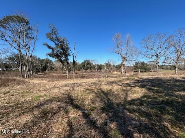 Fantastic 91 acre property in Sandy Hook, MS offering the - photo 3