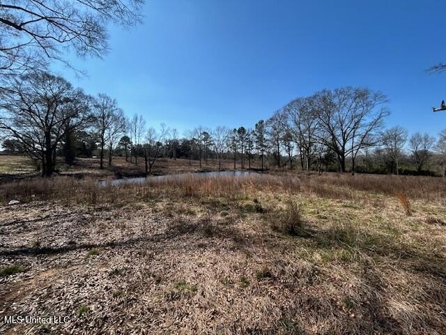 Fantastic 91 acre property in Sandy Hook, MS offering the - photo 5