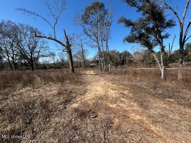 Fantastic 91 acre property in Sandy Hook, MS offering the - photo 7