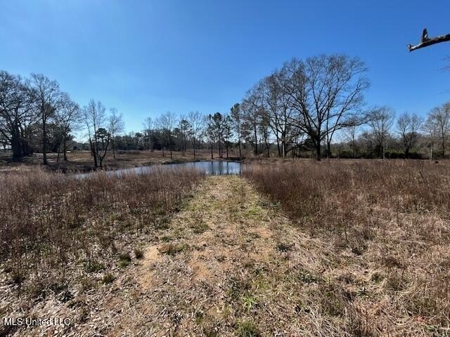 Fantastic 91 acre property in Sandy Hook, MS offering the - photo 8