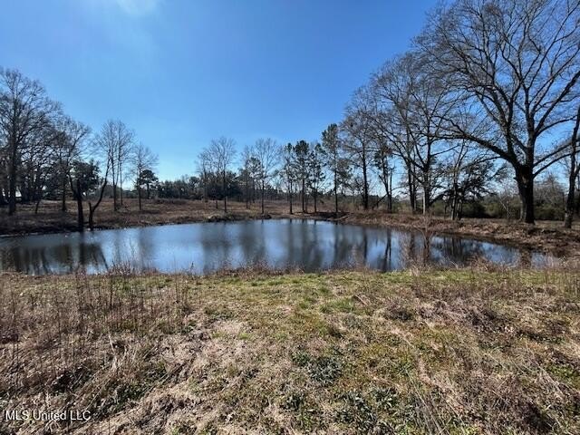 Fantastic 91 acre property in Sandy Hook, MS offering the - photo 9