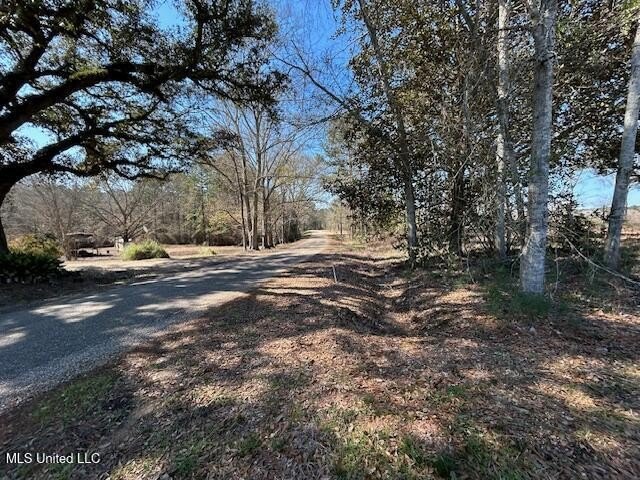 Fantastic 91 acre property in Sandy Hook, MS offering the - photo 10