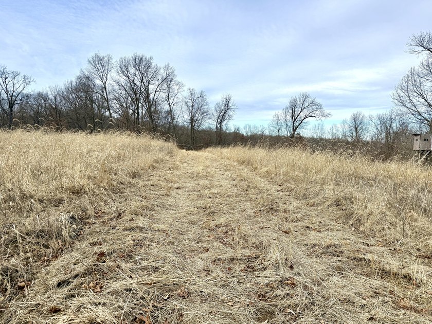 What a great Morgan county hunting farm close to Lake of the - photo 16
