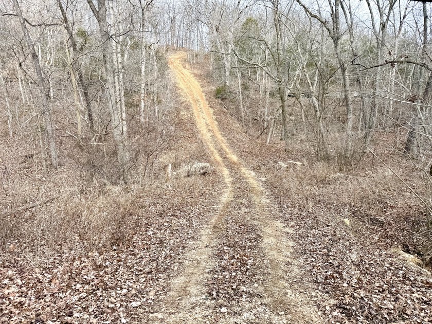 What a great Morgan county hunting farm close to Lake of the - photo 17