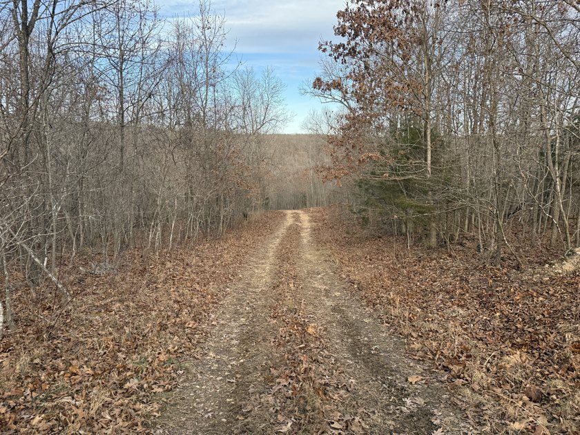 What a great Morgan county hunting farm close to Lake of the - photo 18