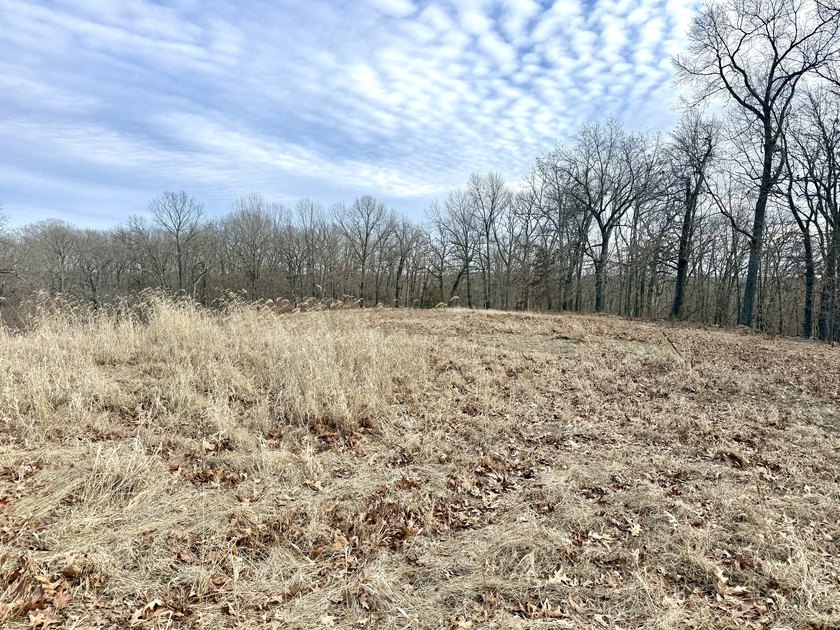 What a great Morgan county hunting farm close to Lake of the - photo 20