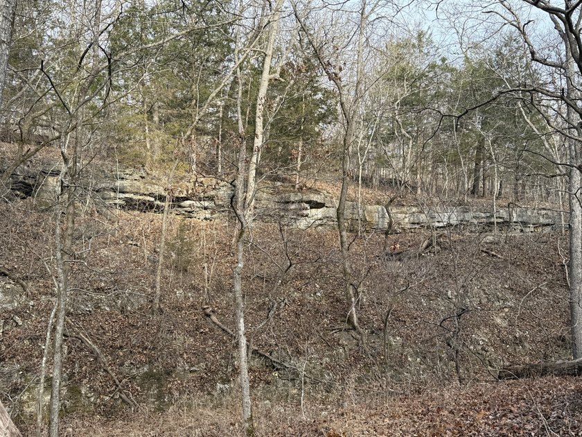 What a great Morgan county hunting farm close to Lake of the - photo 22