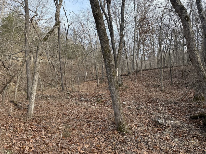 What a great Morgan county hunting farm close to Lake of the - photo 23
