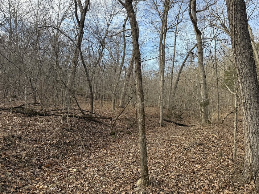 What a great Morgan county hunting farm close to Lake of the - photo 26