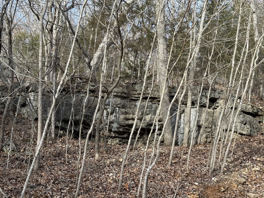 What a great Morgan county hunting farm close to Lake of the - photo 27