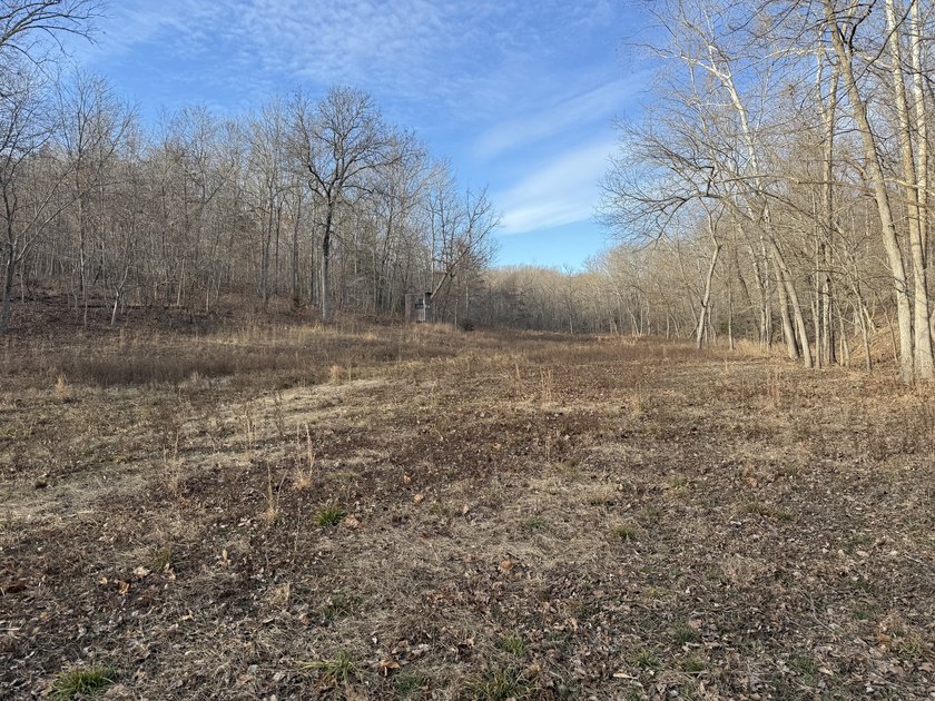 What a great Morgan county hunting farm close to Lake of the - photo 28