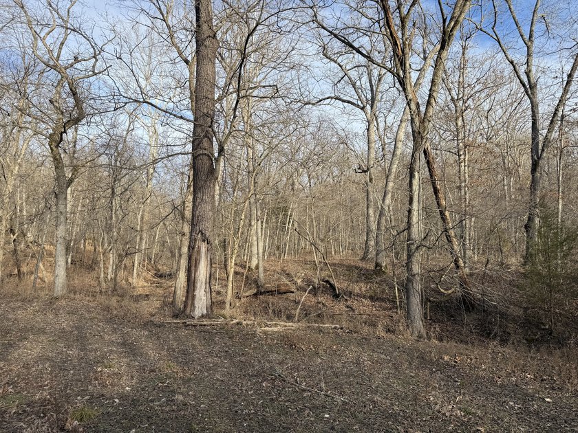 What a great Morgan county hunting farm close to Lake of the - photo 29