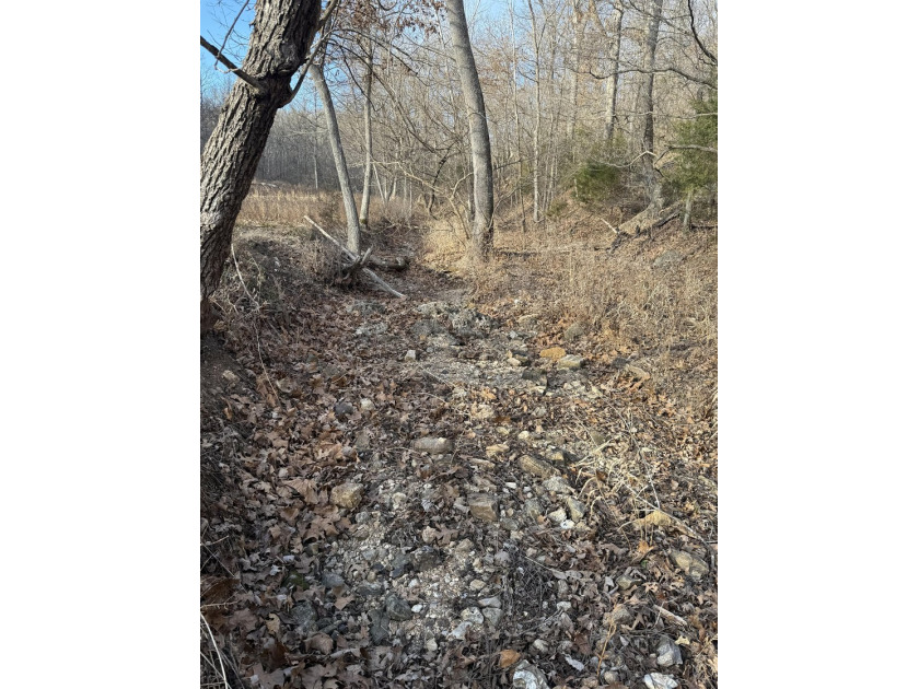 What a great Morgan county hunting farm close to Lake of the - photo 31