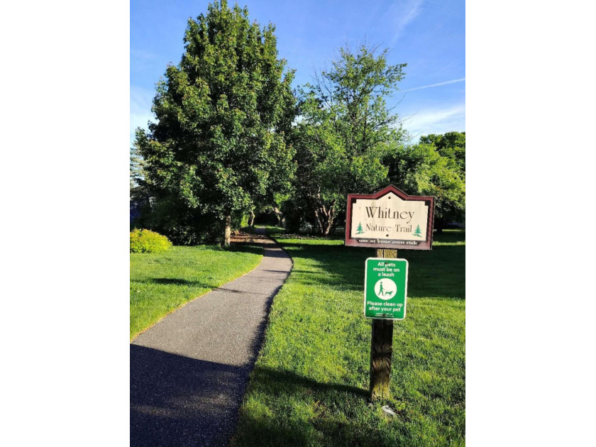 Beautifully situated on a corner lot in a desirable neighborhood - photo 39