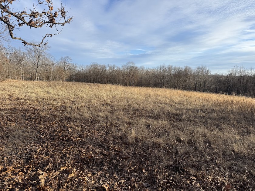 What a great Morgan county hunting farm close to Lake of the - photo 41
