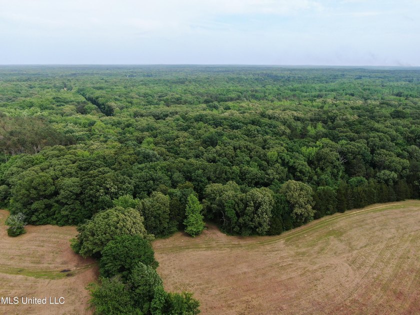 183+/- acres in northeast Tate County. A beautiful mixture of - photo 11