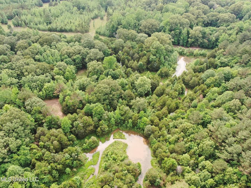183+/- acres in northeast Tate County. A beautiful mixture of - photo 12