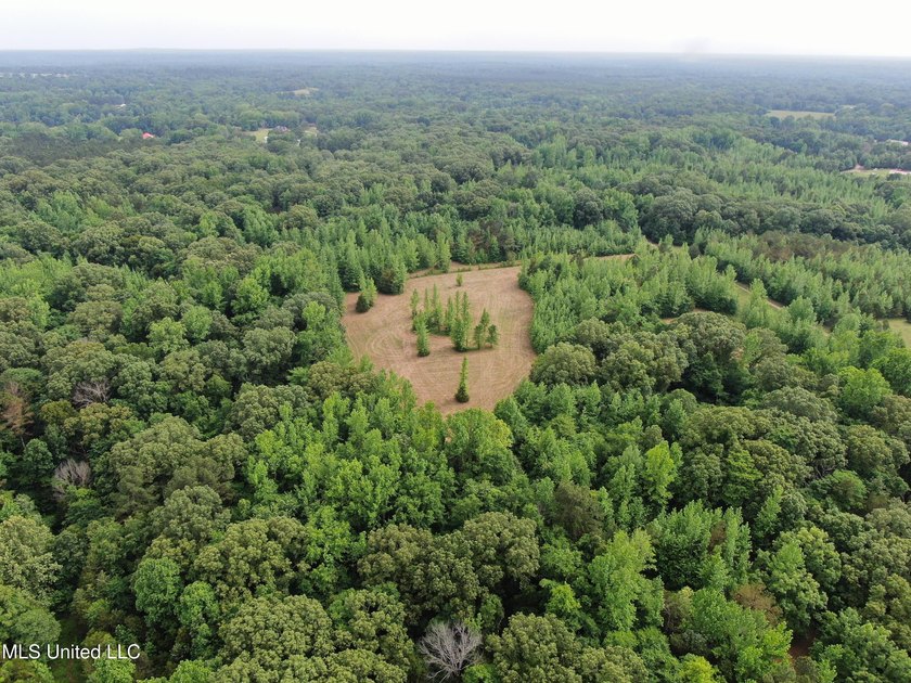183+/- acres in northeast Tate County. A beautiful mixture of - photo 13