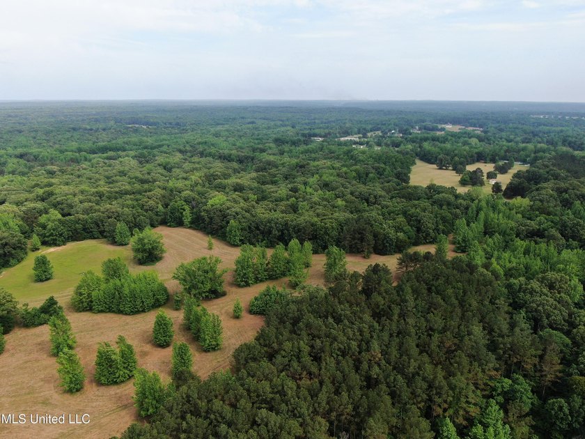 183+/- acres in northeast Tate County. A beautiful mixture of - photo 14