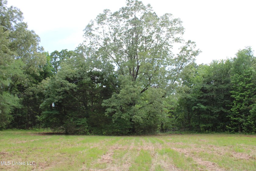 183+/- acres in northeast Tate County. A beautiful mixture of - photo 18