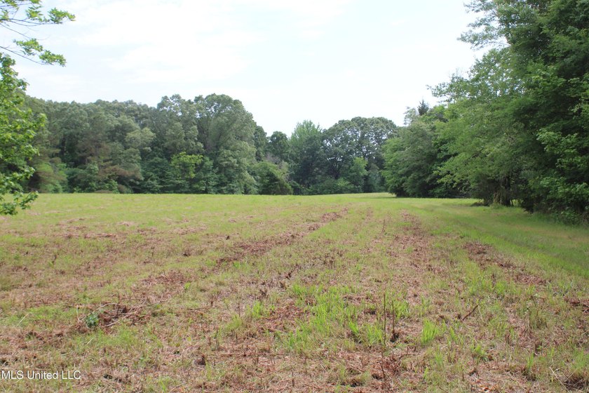 183+/- acres in northeast Tate County. A beautiful mixture of - photo 19