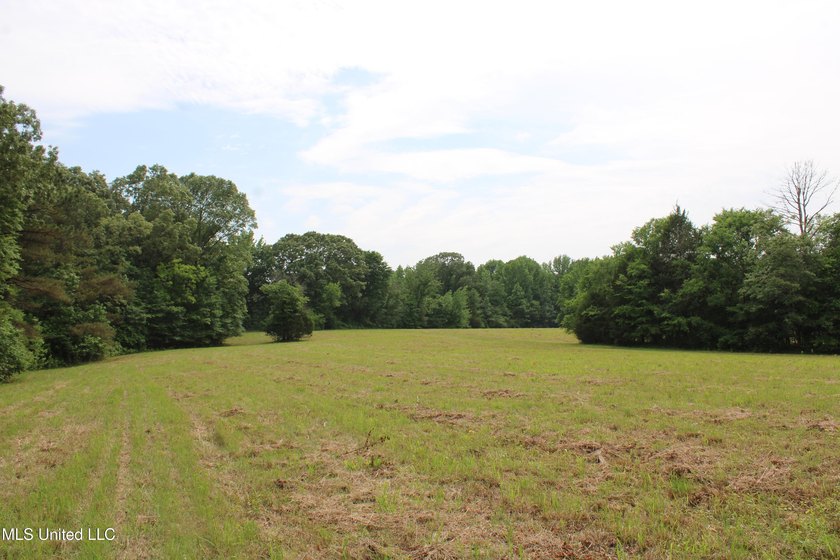 183+/- acres in northeast Tate County. A beautiful mixture of - photo 20