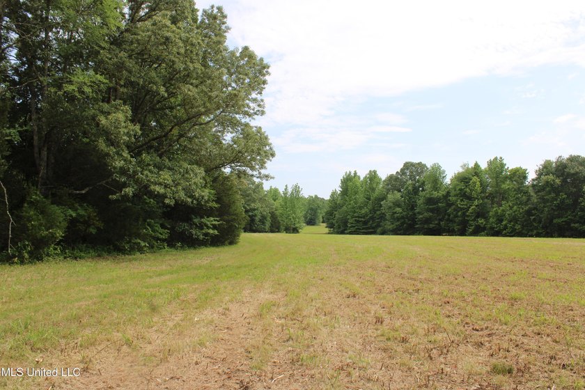 183+/- acres in northeast Tate County. A beautiful mixture of - photo 21