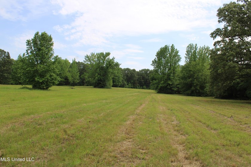 183+/- acres in northeast Tate County. A beautiful mixture of - photo 23