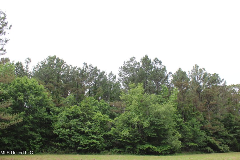183+/- acres in northeast Tate County. A beautiful mixture of - photo 27