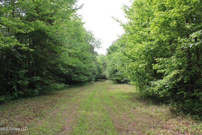183+/- acres in northeast Tate County. A beautiful mixture of - photo 29