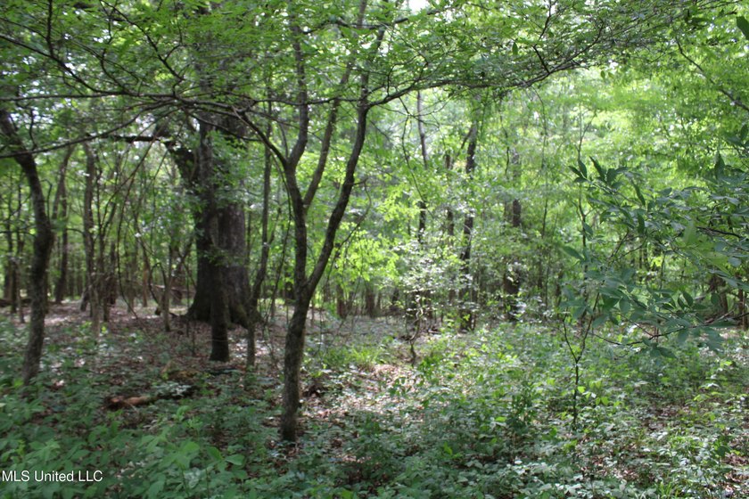 183+/- acres in northeast Tate County. A beautiful mixture of - photo 30