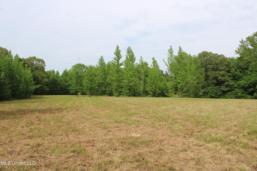 183+/- acres in northeast Tate County. A beautiful mixture of - photo 32