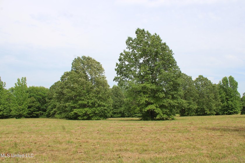 183+/- acres in northeast Tate County. A beautiful mixture of - photo 35