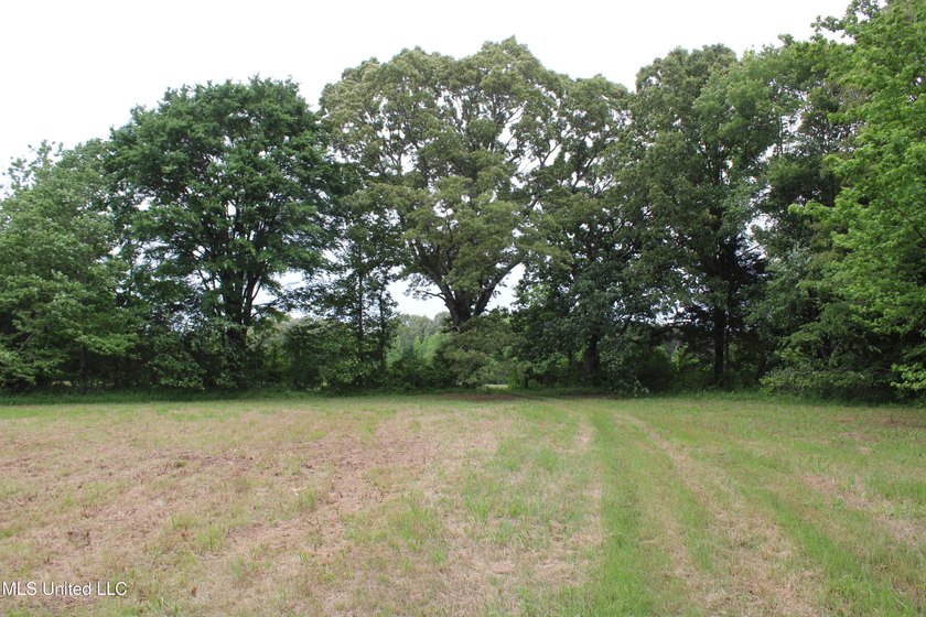 183+/- acres in northeast Tate County. A beautiful mixture of - photo 38