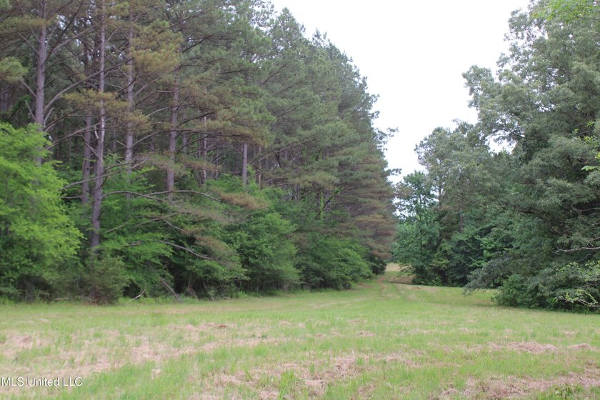 183+/- acres in northeast Tate County. A beautiful mixture of - photo 40