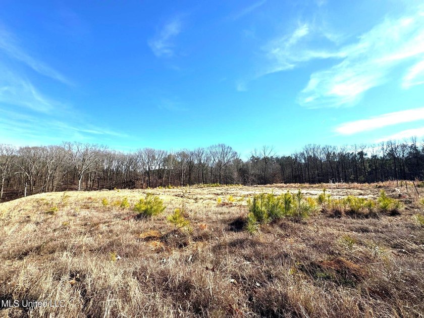 Incredible opportunity to own one of the best lots in the most - photo 3