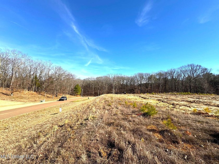 Incredible opportunity to own one of the best lots in the most - photo 4