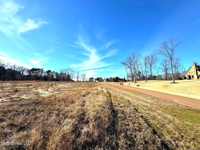 Incredible opportunity to own one of the best lots in the most - photo 5