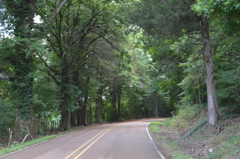 Incredible opportunity to own one of the best lots in the most - photo 6