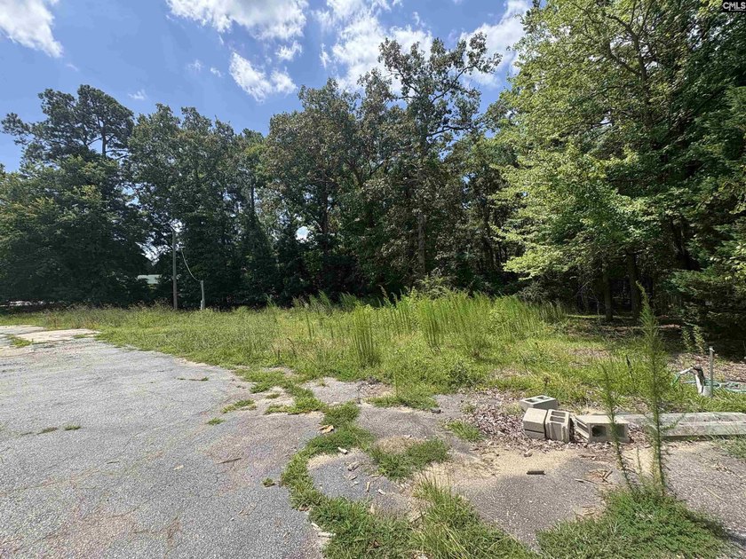 Ideal location on busy Highway 76/Chapin Road! Level lot with - photo 4