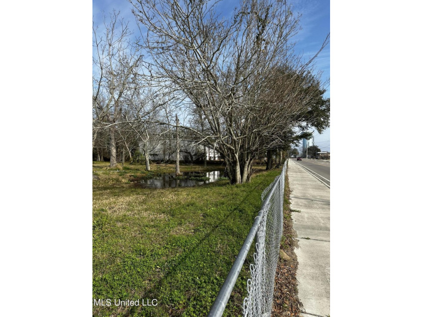 Beautiful vacant corner lot, can be yours to build. Motivated - photo 5