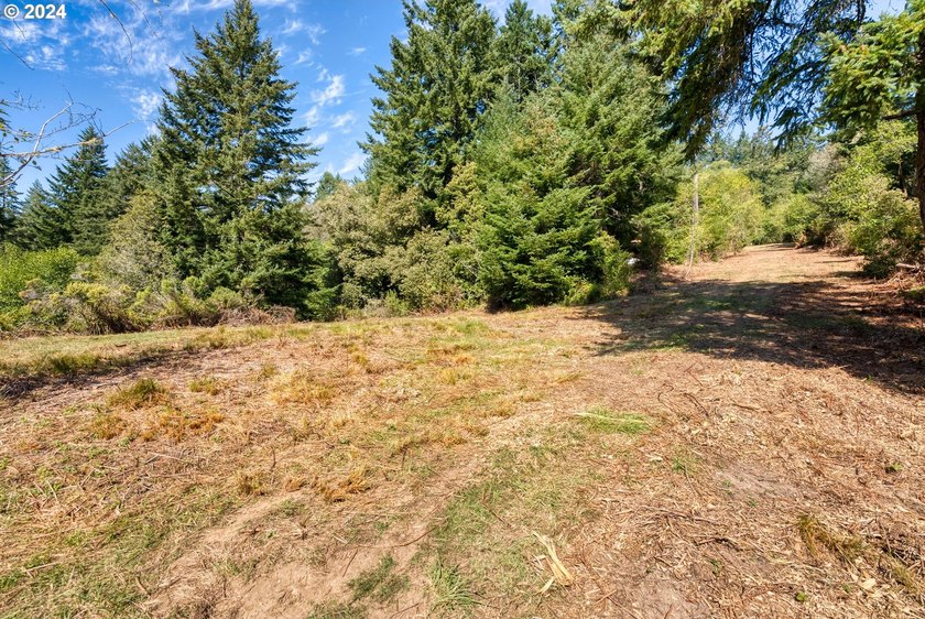 EXTREMELY RARE. 16.85 acres undeveloped and inside the city - photo 11
